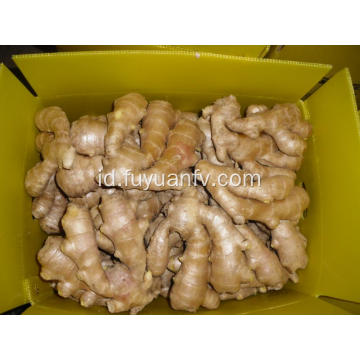 250g Air jahe kering